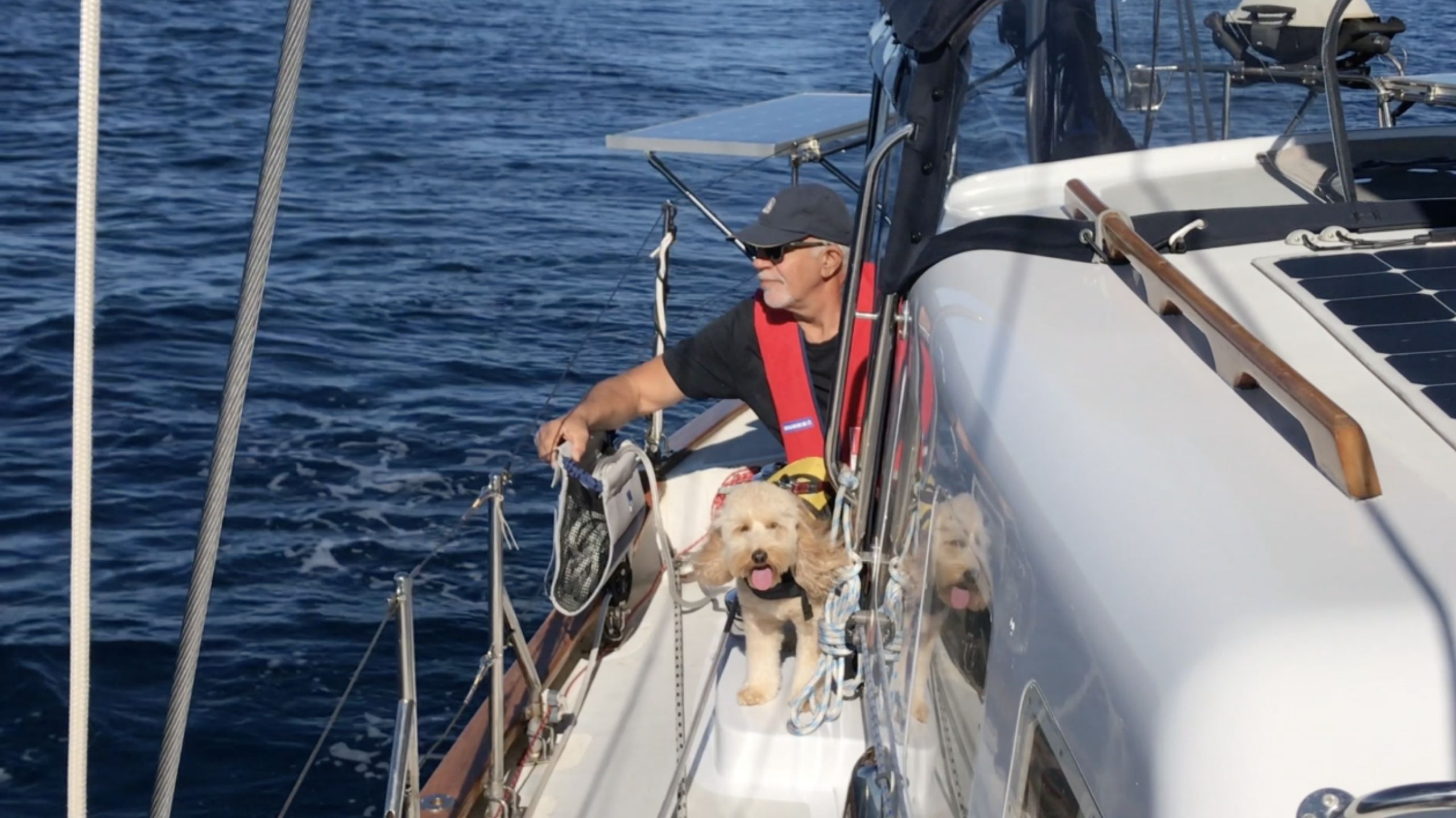 Jim and his dog Lucy on board their Swanson 42. (Source: supplied).