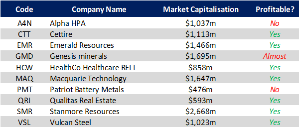 Table: 10 stocks that have been added to the S&P/ASX300 (Source: QVG Capital)