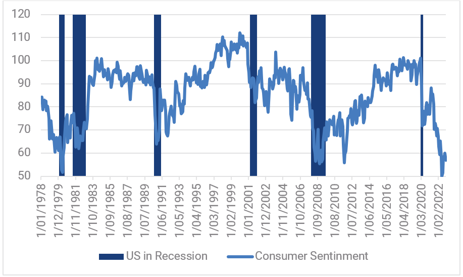 
Chart 11: Consumer Sentiment and US Recession

Source: YarraCM, Bloomberg