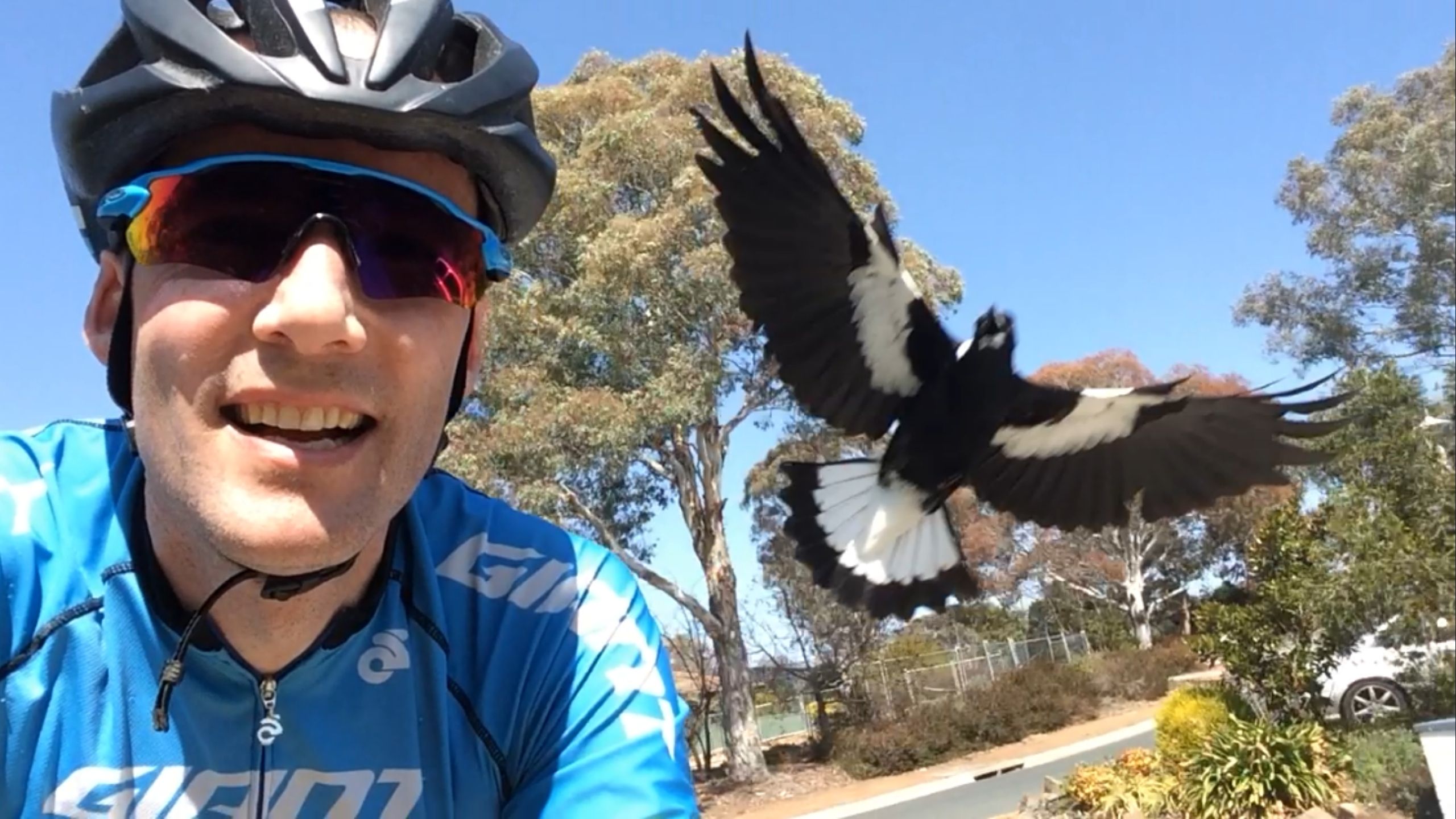 Dave and a not-so-friendly magpie. (Source: supplied)