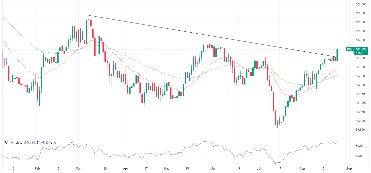 US Dollar Index daily chart with RSI (Source: TradingView)