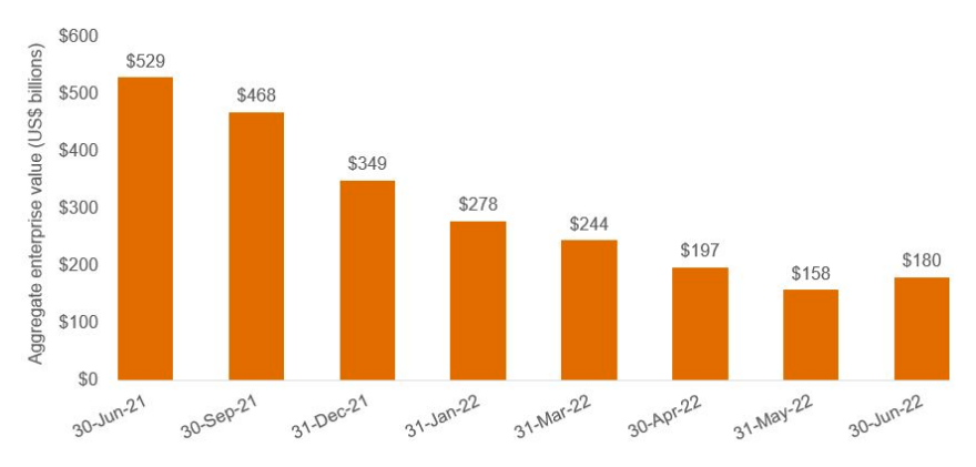 Source: Capital IQ, as of 30 June 2022. *Enterprise value is the sum of a company’s market capitalization, preferred stock and debt, minus cash and cash equivalents and is meant to be a measure of a company’s market value (what the cost would be to acquire a firm).