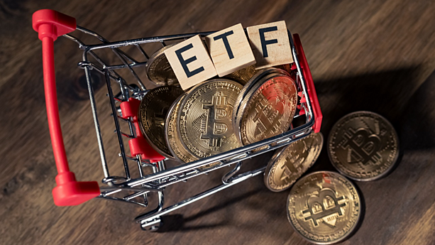 Bitcoin ETFs: Riding the wave of success