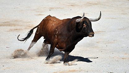 Why we're still bullish on the ASX (and 2 stocks we've been buying)
